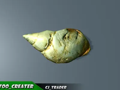 Lowpoly Under Water Shell Collection Pack 3d model Low-poly 3D model