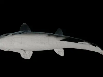 Animated Brook Trout Low-poly 3D model