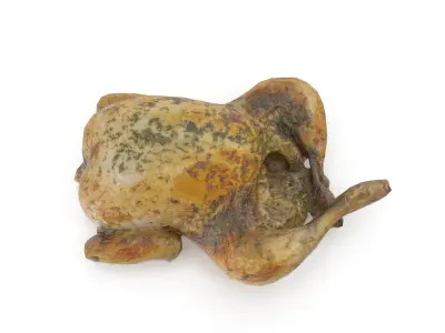 Cooked Chicken seasoned with sage - 4K textures 3D model