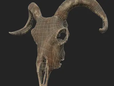 Goat Skull Low-poly 3D model