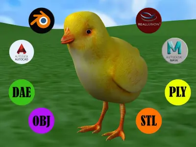 Chick bird 3D print model