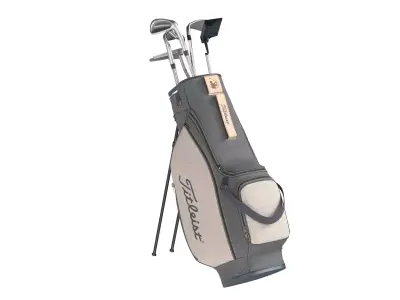 Golf Bag Clubs and Putter  Low-poly 3D model