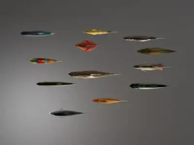 Essential Fish Model Collection Low-poly 3D model