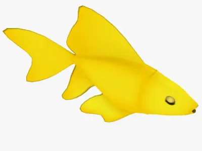 Golden Fish Free low-poly 3D model