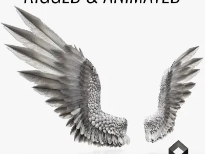 Pair of Bird Wings C4D  Low-poly 3D model