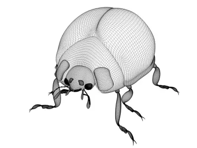 Ladybug 3D Model 3D model