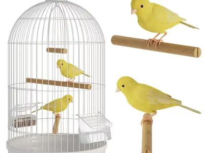 Canaries in a cage 3D model