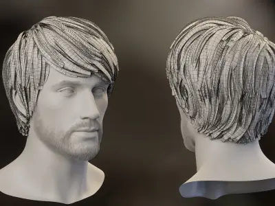 10 Hair Card Hairstyles 3D model