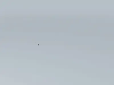 Air Canada 1981 and Lufthansa 2951 Airplane Crash Free 3D model