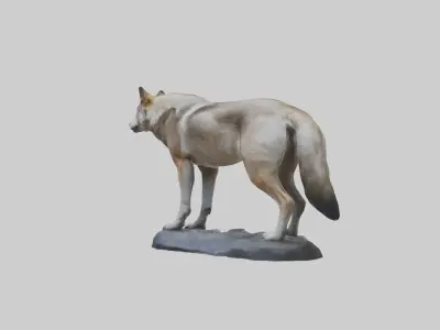 Himalayan Wolf Low-poly 3D model