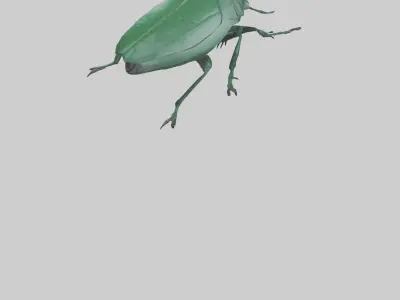 Beetle on leaf model Low-poly 3D model