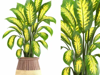 indoor plant set019 3D model