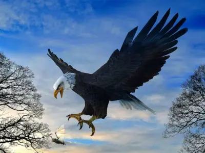 Eagle Attack  3D model