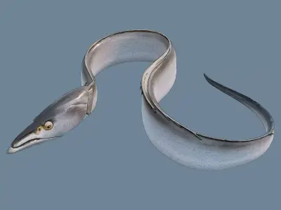 Ribbonfish Low-poly 3D model