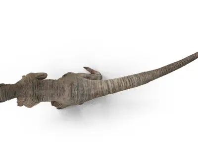 Velociraptor Low-poly 3D model