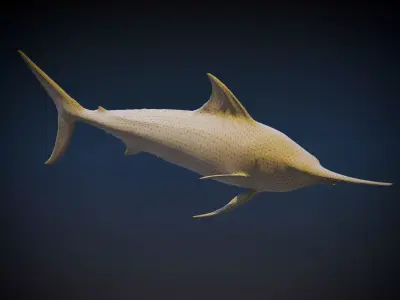 Black marlin 3D model