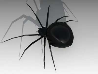Black widow Low-poly 3D model