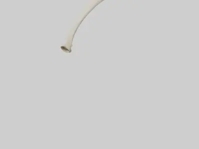 Giraffe Tibia Low-poly 3D model