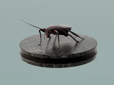 House Decoration Cockroach Statue Low-poly 3D model