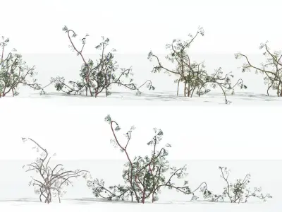 EVERYPlant Baiera 2 --14 Models-- 3D model