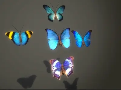 Butterflies Animated  Low-poly 3D model
