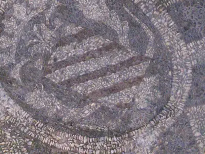 Realistic Medieval Old building house 3D model