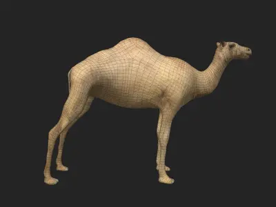 Camel Low-poly 3D model