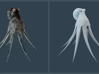 Animated Caribbean Reef Octopus Low-poly 3D model