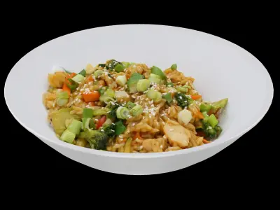 TERIYAKI CHICKEN RICE BOWL Low-poly 3D model