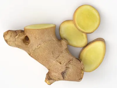 Fresh Ginger Root Slices 2 3D model