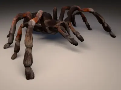 PBR Tarantula rigged and animated Low-poly 3D model