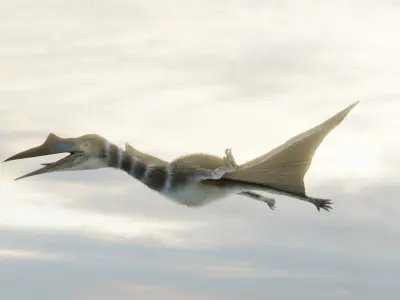 Monster Quetzalcoatlus - Prehistoric Dinosaur Low-poly 3D model