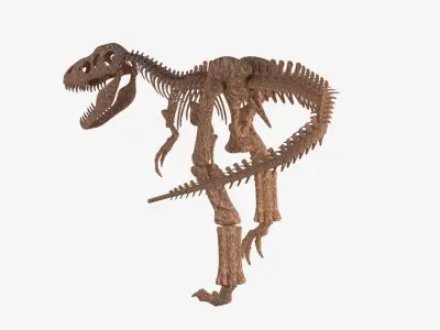 Tyrannosaurus Rex Skeleton 3D model