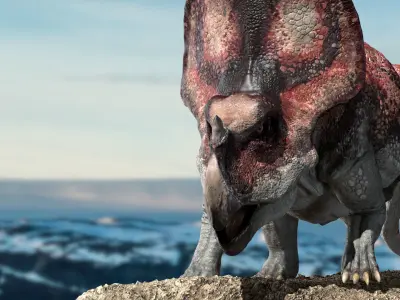 model Protoceratops 3D Rigged Low-poly 3D model