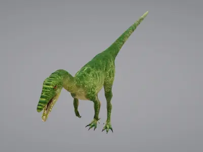 Coelophysis dinosaur 3D model