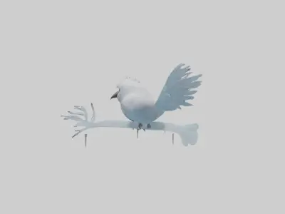 Ice Bird Model Low-poly 3D model