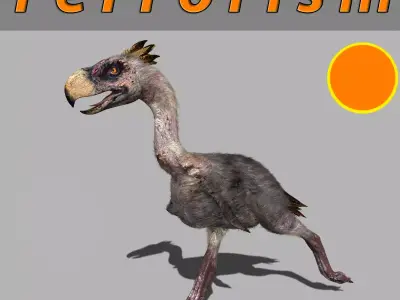Terror Bird Phorusrhacos 3d model 3D model