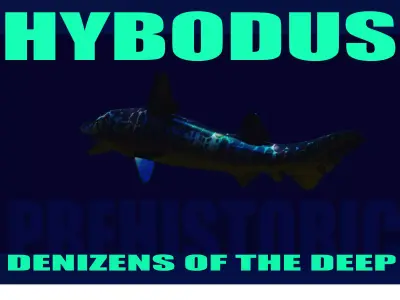 Hybodus shark Low-poly 3D model