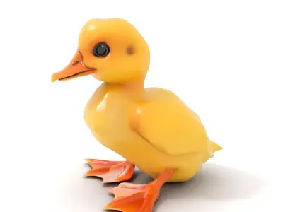 Cute Duckling model pack Low-poly 3D model