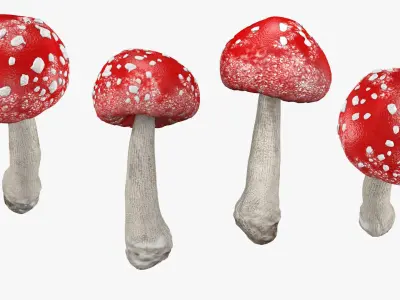 Mushroom Set 3D model
