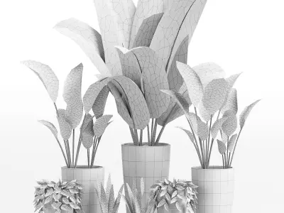 Indoor Plants set 05 3D model