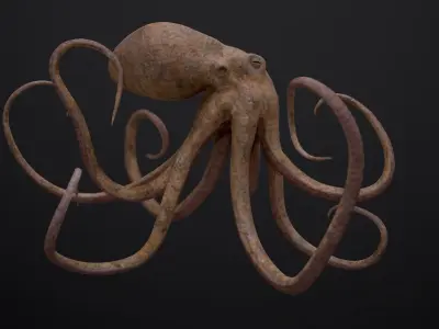 Octopus Game Ready Low-poly 3D model