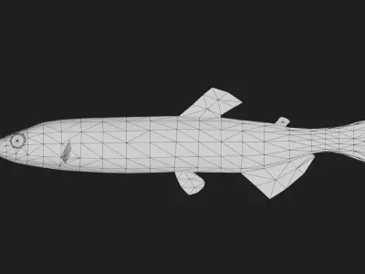 Capelin Low-poly 3D model