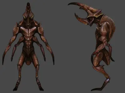 Insect Characters Low-poly 3D model