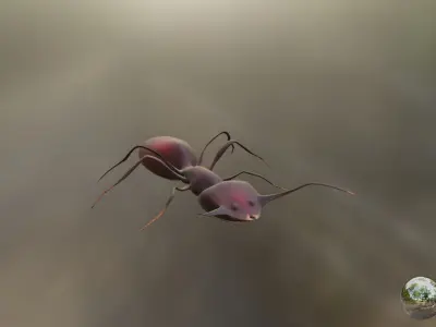 Low Poly Red Ant Low-poly 3D model