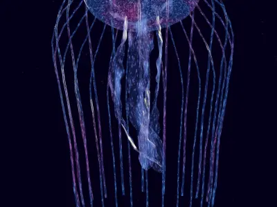 stylized glowing jellyfish Low-poly 3D model