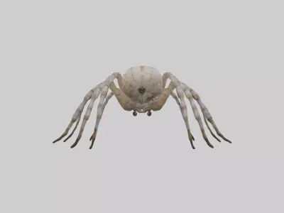 Garden Spider Low-poly 3D model