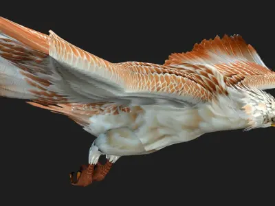 Eagle V2E 3D model