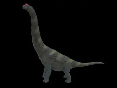 Alamosaurus Dinosaur Low-poly 3D model