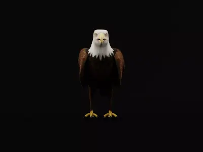 Bald Eagle Bird Low-poly 3D model